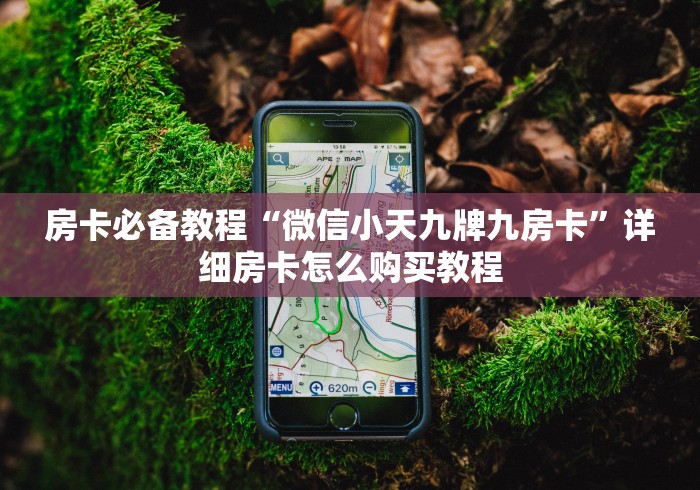 房卡必备教程“微信小天九牌九房卡”详细房卡怎么购买教程