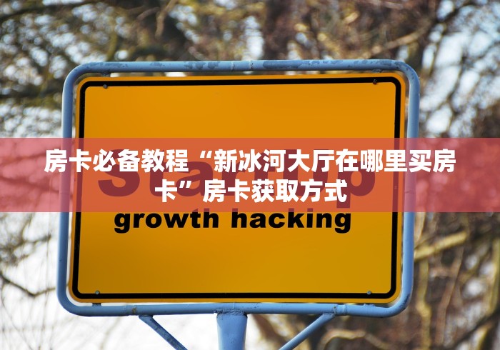 房卡必备教程“新冰河大厅在哪里买房卡”房卡获取方式